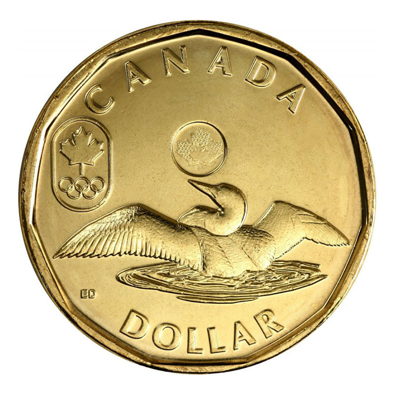 2016 Lucky Loonie, uncirculated coin from mint roll : : Toys &  Games