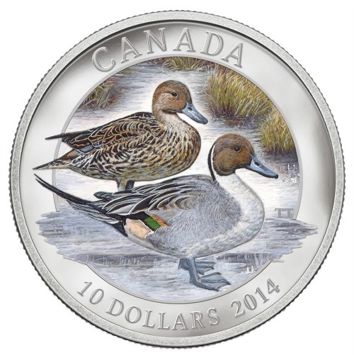 2014 Fine Silver 10 Dollar Coin - Ducks of Canada: Pintail Duck