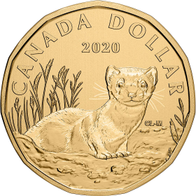 🇨🇦 Two Beautiful Canadian Loonies $1 Dollar Coins, Baby & Loonie, 2020