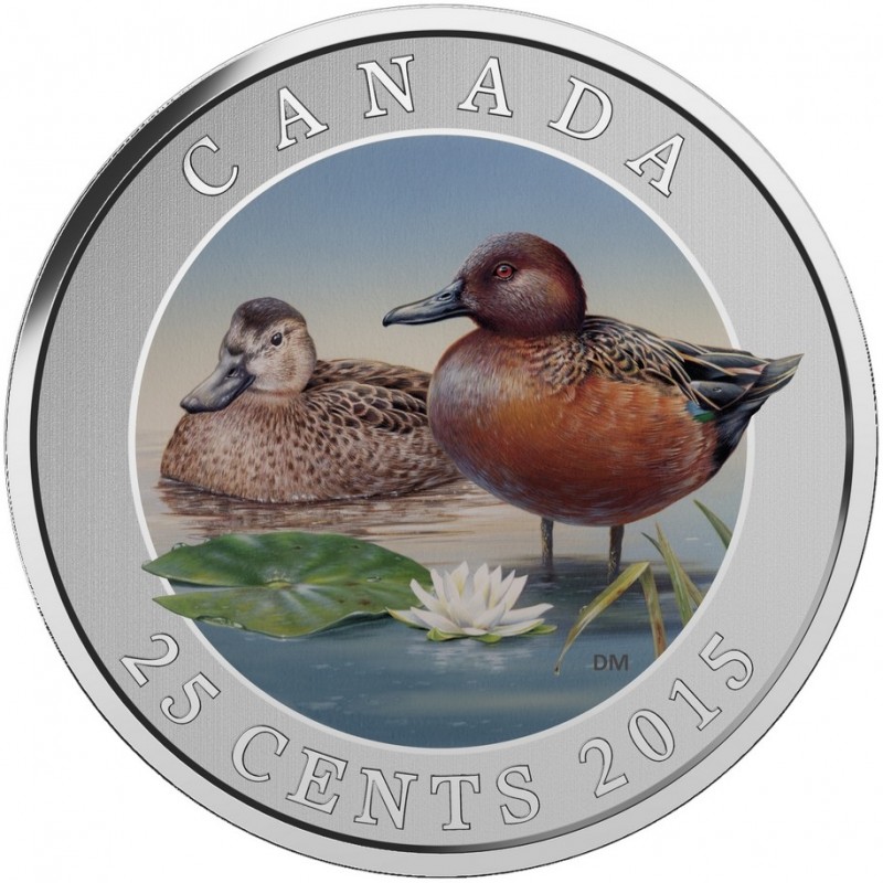 2015 Canada 25 Cent Coin - Cinnamon Teal Duck