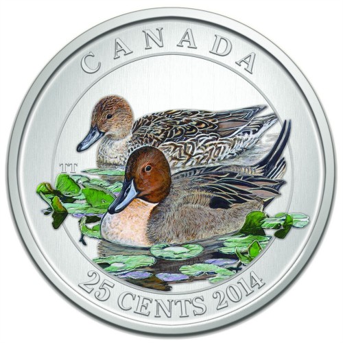 2014 Canadian 25-Cent Ducks of Canada: Pintail Coloured Coin- no ...