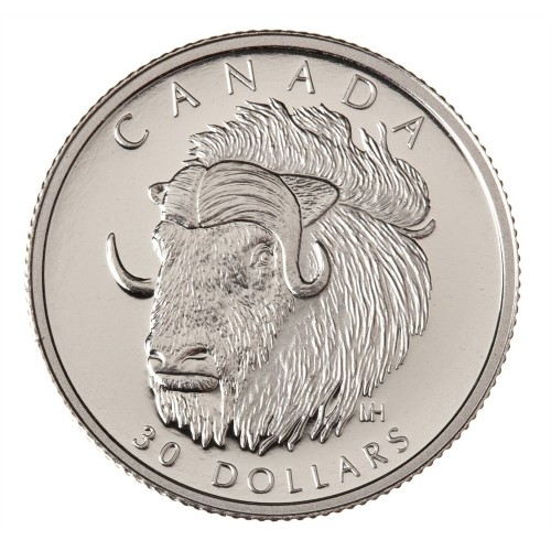 1999 Canadian $30 The Muskox 0.1 g Fine Platinum Coin