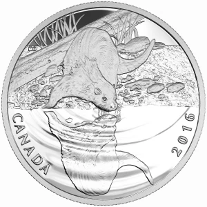 2016 Canadian $10 Reflections of Wildlife: Otter - 1/2 oz Fine Silver Coin 2016 Canadian $10 Reflections of Wildlife: Otter - 1/2 oz Fine Silver Coin