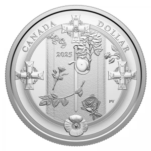 2025 Canada $1 Tomb of the Unknown Soldier - 3/4 oz Fine Silver Proof Dollar Coin - no beauty box 2025 Canada $1 Tomb of the Unknown Soldier - 3/4 oz Fine Silver Proof Dollar Coin - no beauty box