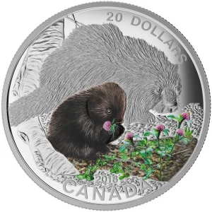 2016 Canadian $20 Baby Animals: Porcupine - 1 oz Fine Silver Coin - No Beauty Box 2016 Canadian $20 Baby Animals: Porcupine - 1 oz Fine Silver Coin - No Beauty Box