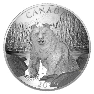 2019 Canadian $100 Double-Concave Coin - Brown Bear: Nature's Grandeur Series - 10 oz Fine Silver Coin - lightly tarnished 2019 Canadian $100 Double-Concave Coin - Brown Bear: Nature's Grandeur Series - 10 oz Fine Silver Coin - lightly tarnished